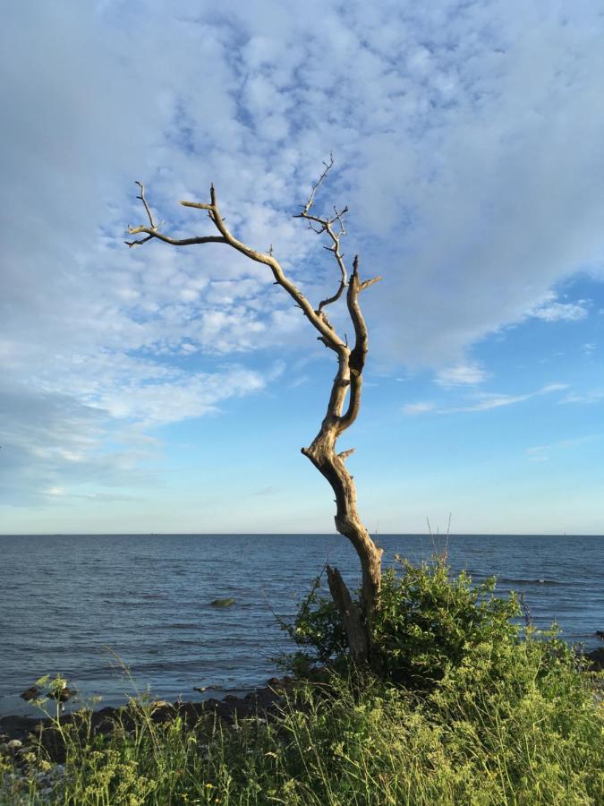 Rum Pa Landet Klagstorp Dış mekan fotoğraf